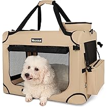 71tKNA26vLL._AC_UL210_SR210,