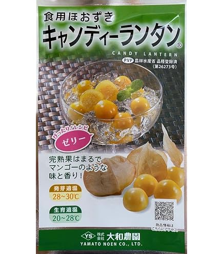 Amazon.co.jp: 藤田種子 食用ホオズキ 早生大玉ストロベリートマト