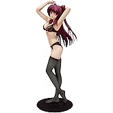 To Heart 2 XRATED 向坂 環 プライベートver. (1/6スケールPVC塗装済み完成品)