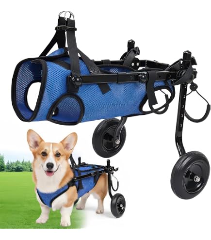 Amazon.co.jp: □犬の車椅子 小型犬用4輪車 29kg位 背高35cm位 顎乗せ