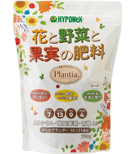 Amazon｜ジャボチカバ小葉 約160cm 10号 指宿産直｜観葉植物