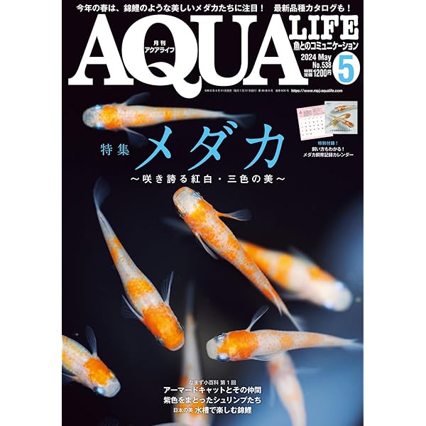 AQUA LIFE 2020年5月号・11月号 AQUA LIFE 2020年5月号・11月号