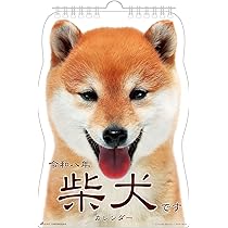 柴 ページ Amazon | アクティブコーポレーション 2026 カレンダー 壁掛け 柴犬