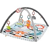 フィッシャープライス(fisher price) 感覚を育てよう！ラッコのわくわくミュージカルジム 【お誕生（０ヵ月）～】【赤ちゃん おもちゃ】【プレゼント】 HBP41