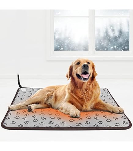 Amazon.co.jp: ウォーターベッド用ヒーター ハードサイド用