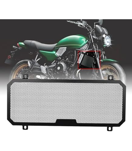 Amazon | LEDISHUN ラジエターコアプロテクター ラジエーターガードに