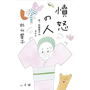 憤怒の人　～母・佐藤愛子のカケラ～の表紙