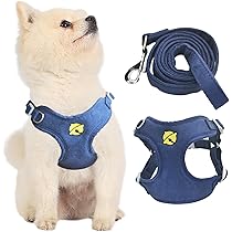 ペット用品 ハーネス リード 水色 XXLサイズ 大型犬 imgrc0118630617.jpg