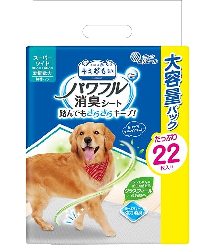 Amazon | デオシート しっかり超吸収 無香消臭タイプ スーパーワイド