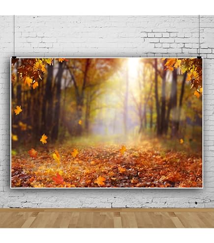 Amazon | Qinunipoto 背景布 写真撮影用 紅葉 和風 背景 撮影 写真背景
