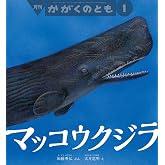 マッコウクジラ (かがくのとも2025年1月号)