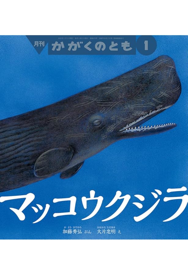 Amazon.co.jp: おやすみしりとり (こどものとも2025年1月号) : 大原