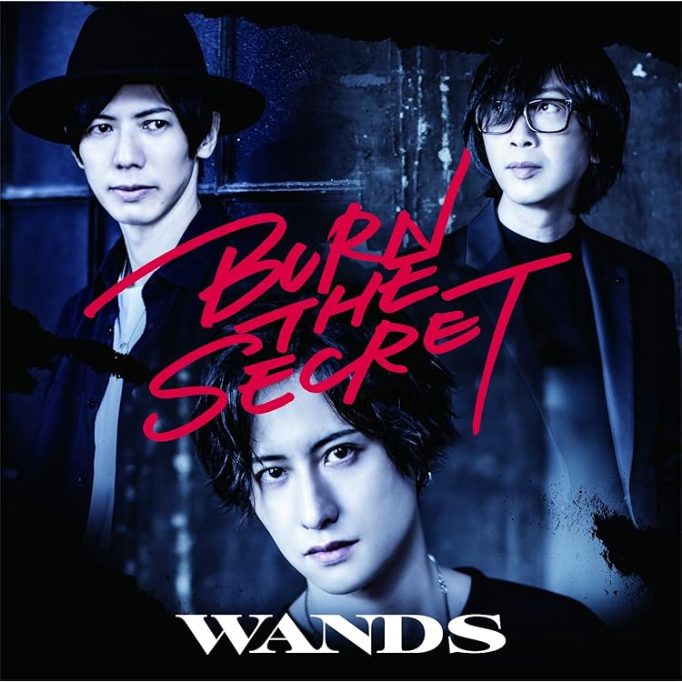 Amazon.co.jp: Version 5.0 (初回限定盤A) - WANDS (Blu-ray Disc付