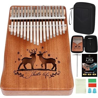 Amazon.co.jp 人気ギフトランキング: パーカッション・打楽器 で