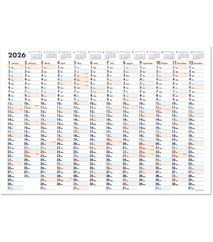 Amazon | 2026年ショウエイドー 年間計画表カレンダー｜B2サイズ