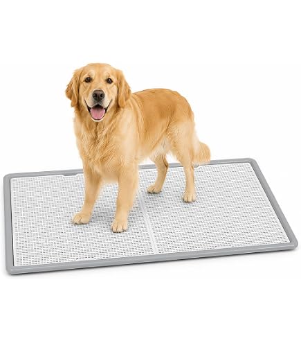 Amazon | ペットレー クリアメッシュ XL | Generic | トイレトレー 通販 Amazon | ペットレー クリアメッシュ XL | Generic | トイレトレー 通販