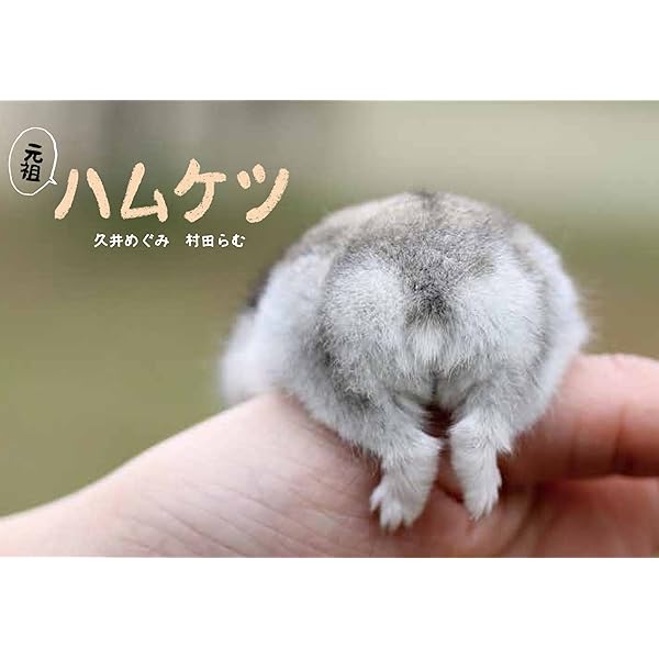 ☆ハムちゃんページ 3103SV-gX2L._AC_SY200_QL15_.jpg