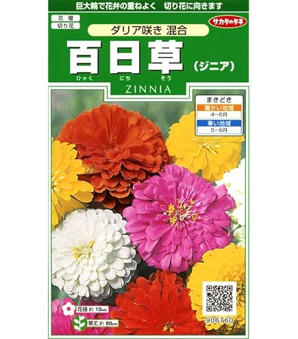 Amazon | タキイ種苗 百日草 カクタス咲混合 | 花