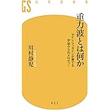 重力波とは何か アインシュタインが奏でる宇宙からのメロディー (幻冬舎新書)