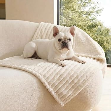 Amazon.co.jp 売れ筋ランキング: 犬用枕・ブランケット の中で最も人気