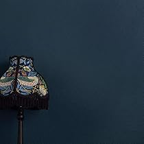 Amazon.co.jp: ペンキ 水性塗料 濃紺 ネイビー つや消し [210 Amazon.co.jp: ペンキ 水性塗料 濃紺 ネイビー つや消し [210