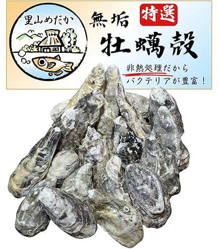 Amazon.co.jp: SUDO(スドー) スターペット 特撰かきがら徳用 600g S