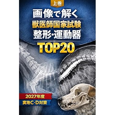 Amazon.co.jp 売れ筋ランキング: undefined の中で最も人気のある商品です