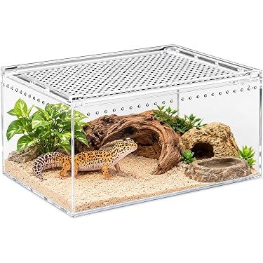 Amazon.co.jp 最新リリース: 爬虫類・両生類用飼育ケース・ケージ の