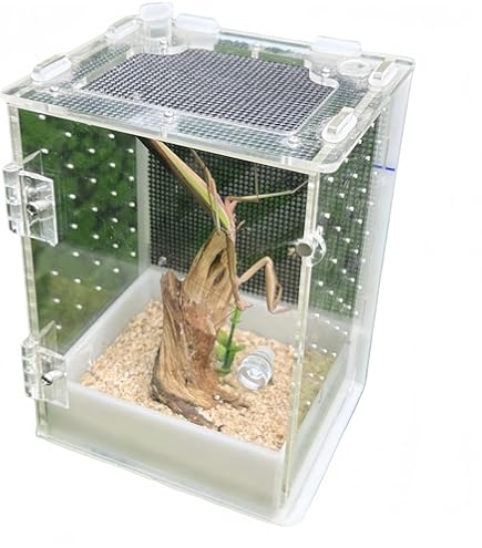 Amazon | Zxyler 爬虫類ケージ｜トカゲ・蛇・蛙用飼育容器