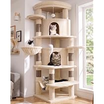 Amazon | Taoqimiao キャットタワー 高さ 180cm 大型猫用 多頭飼い