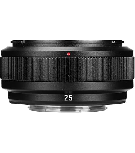Amazon.co.jp: Panasonic (パナソニック) Lumix G Vario 14-140mm 望遠
