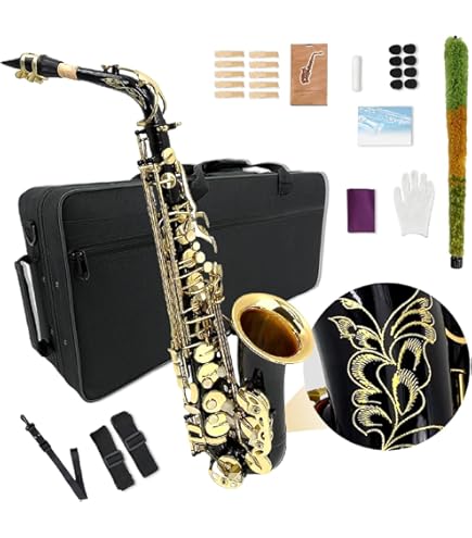 Amazon | H.Selmer SD20 アルトサックス マウスピース セルマー