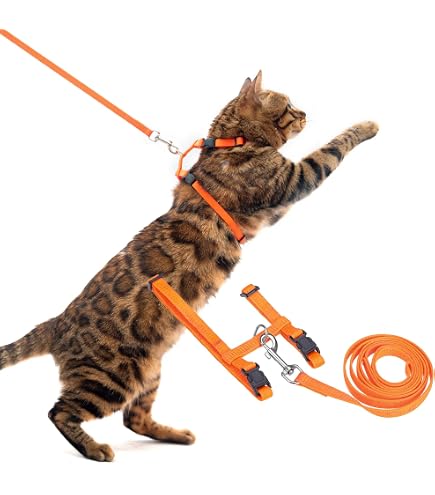 メルモママ襟付きハーネス&リードセット(ブルーローズ)わんちゃん猫ちゃん用 Amazon | ねこモテ オールドフラワー01 胴輪セットN 赤 [猫用ハーネス