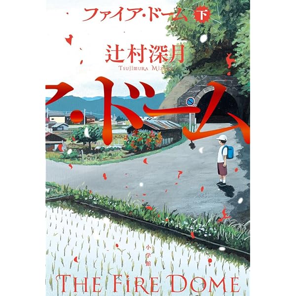 Amazon.co.jp: 限定愛蔵版 凍りのくじら : 辻村 深月: Japanese Books