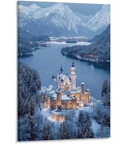 Amazon.co.jp: ノイシュヴァンシュタイン城を見ます 風景の写真