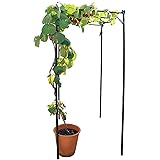 daim くだもの 棚 セット KT-S 幅90cm×奥行120cm×高さ180cm（30cm埋め込み時） DIY パーゴラ 組立 キット ガーデニング アーチ 藤棚 果樹棚 果物棚キウイ棚 ぶどう棚 ブドウ棚 葡萄棚 園芸棚 支柱 栽培 葡萄 キウ