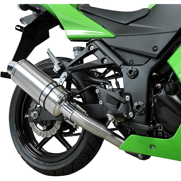 ninja250 ニンジャ250 フルエキマフラー スタント仕様 ケージ