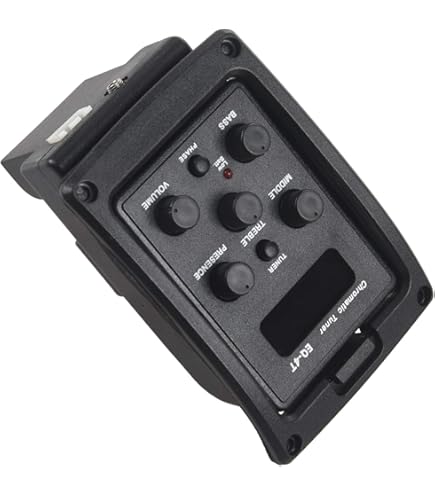 Amazon.co.jp: Fishman BP-100 Upright String Bass ウッドベース用