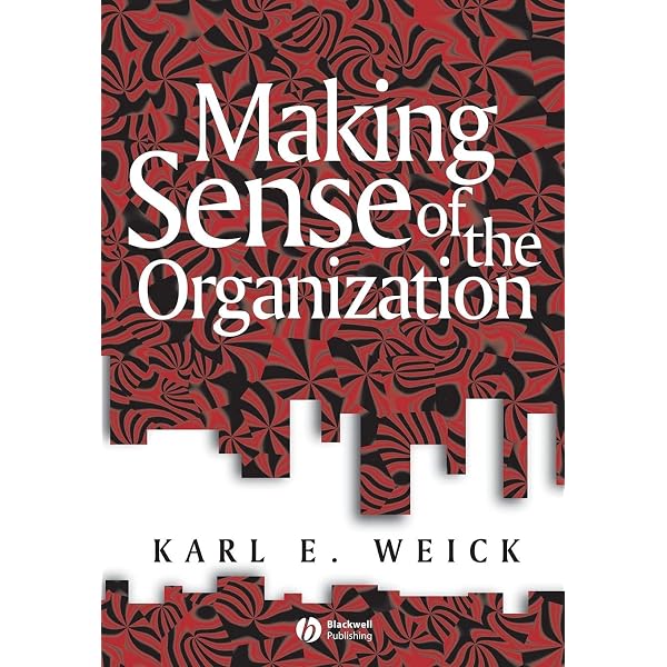 Amazon | Sensemaking in Organizations (Foundations for