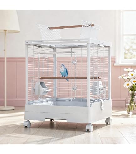 Amazon.co.jp: Sanko 三晃商会 Easy Home Clear Bird 37WH, White