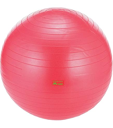 Amazon | 【4サイズ展開】 バランスボール 45cm 55cm 65cm 75cm アンチ