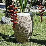 石 プランター (50cm 赤褐色) 【 植木鉢 おしゃれ 鉢 エクステリア用品 ガーデン 】