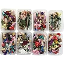 専用　ハンドメイドドライフラワー Amazon.co.jp: 天然ドライフラワー カラフル （ランダムカラー