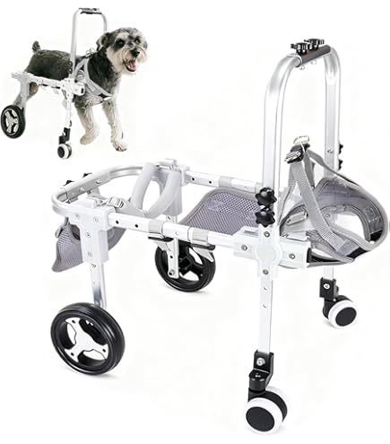 Amazon.co.jp: Zifizo 犬用車いす 小型大型犬用車椅子 4輪 フル