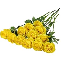 71u7gaUJ2yL._AC_UL210_SR210,