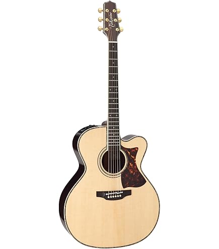 Amazon.co.jp: Takamine DMP50S WR Electric Acoustic Guitar