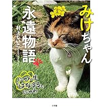 71u9W7l72hL._AC_UL210_SR210,