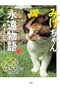 25歳のみけちゃん | 村上しいこ |本 | 通販 | Amazon