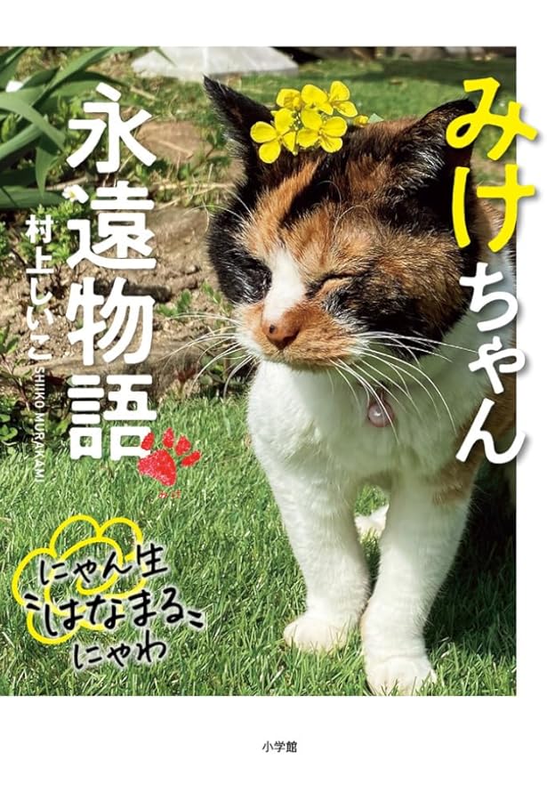 みけにゃんページ 81FQB3qgALL._AC_UL210_SR210,