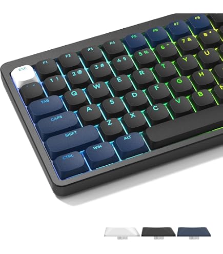 Amazon.co.jp: Kailh Choc V2 Deep Sea Silent Islet ロープロファイル